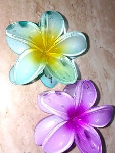Flower Hair Clips