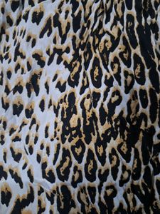 Leopard Print Skirt