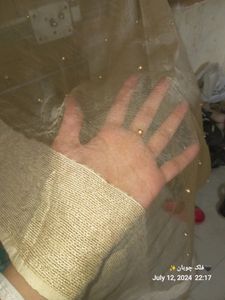 Heavy Pearl Work Dupatta Net Tissue Material