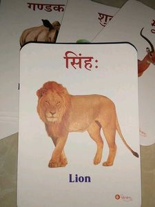 Vocabulary Flashcards