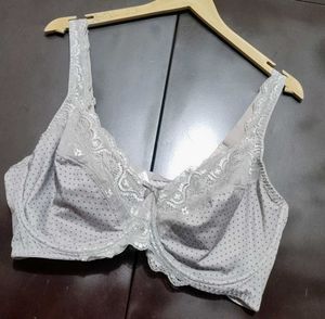 Grey Elegant Polka Dot Bra For 46 DD Bust