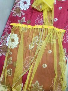 Haldi Fitt