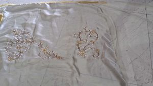 Beautiful Saree Look