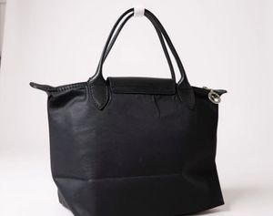 Longchamp Handbag