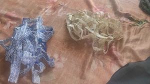 2 Lace Bundle