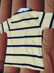 Turtle Brand Men Yellow Striped Casual Polo Tshirt