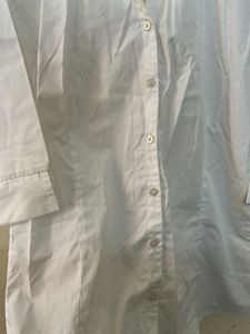 White Button-Up Shirt