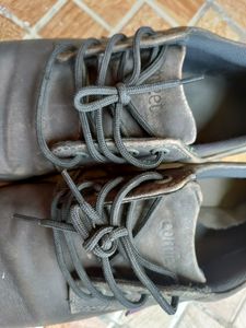 Comfeet Shoes (40)