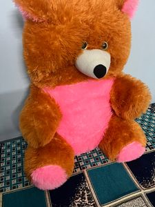 Teady Bear