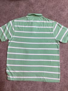 Netplay Striped Polo Shirt