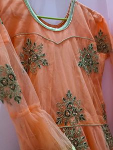 Net Embroidered Gown.