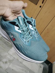 Campus Sports Shoes Size 10