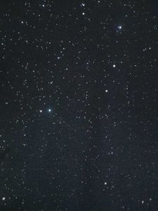 Sparkly Black T-Shirt