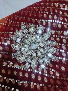 डॉलर बटा साड़ी