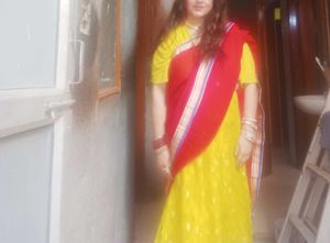 Beautiful Lehnga Cum Saree