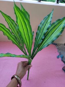 Leaf Bunches