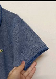 Men Polo Tshirt