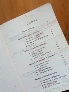 SAPIENS book
