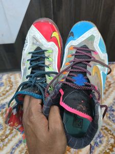 Nike LeBron Edition