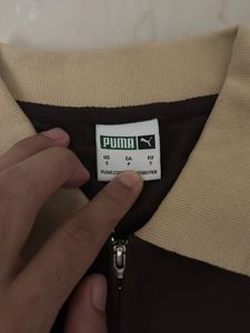 Puma x 1DER Brown Polo Shirt