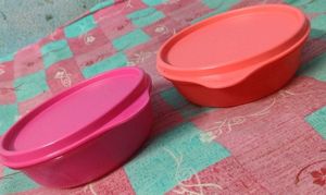 Tupperware Bowls (Set of 2)