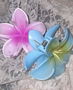 Set Of 2 Flower Claw Clips, Aesthetic