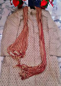 Men Sherwani Festive Wear