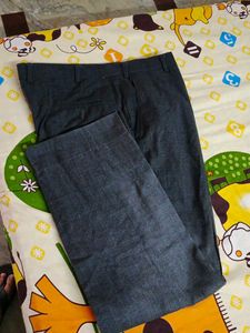 Men's Grey Pants