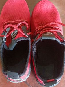 Mens Footwear