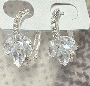 Sparkling Silver Earrings