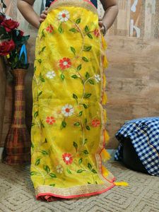 Brand New Organza Saree 10 Years