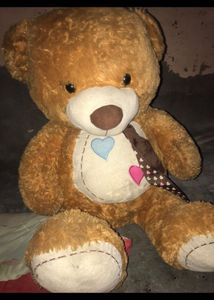Teddy 🧸