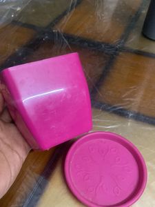 Very Small Plastic Pot