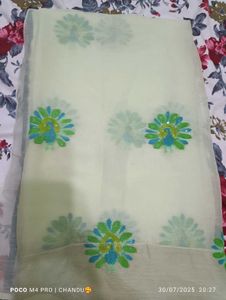 Elegant Green Saree &amp; Blouse