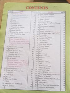 500 words With Pictures