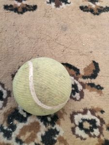 Set Of 5 Tennis Balls