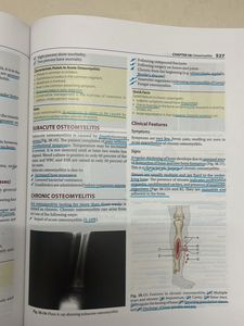 Ebnezar Orthopaedics
