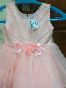 Peach  Flower Girl Dress