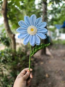 Gerbera flower