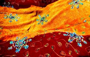 Embroidered Red Sari