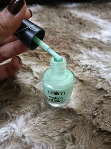 Plum Color Affair Nail Polish