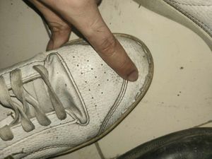 Puma Sneakers Used