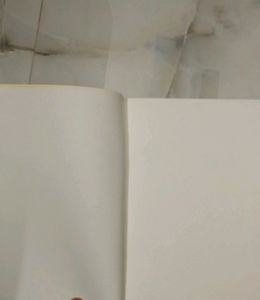 Classmate Pulse Notebook | Journal | Diary