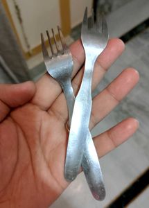 Stainless Steel Forks (Set of 2)