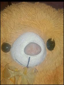Cute Soft Toy