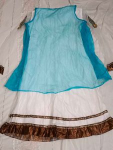 Elegant Embroidered Anarkali Suit