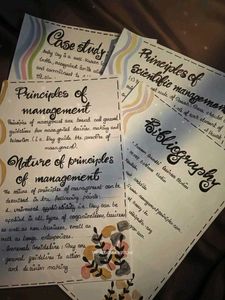 Handwritten Project Work