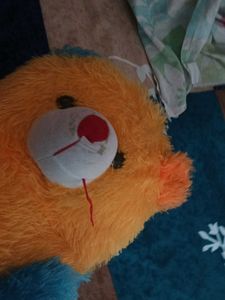 Teddy Bear 🧸