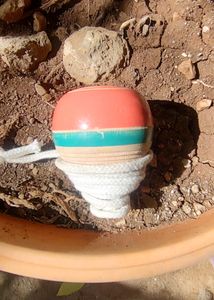 Wooden Bhovraa ....Lattu... Spinning Top 🪅🌪️