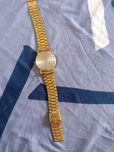 Men Watch With Golden Band.